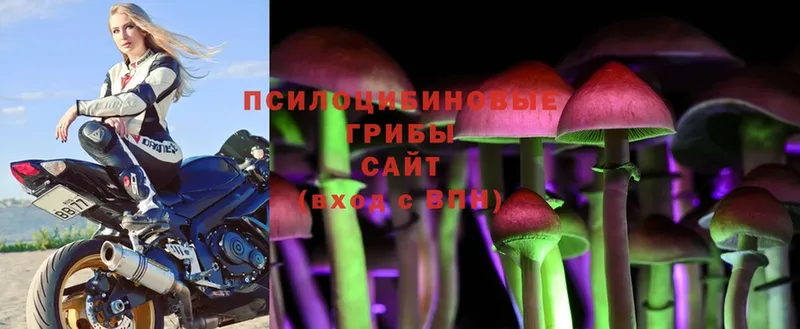 маркетплейс какой сайт  Разумное  Псилоцибиновые грибы MAGIC MUSHROOMS 